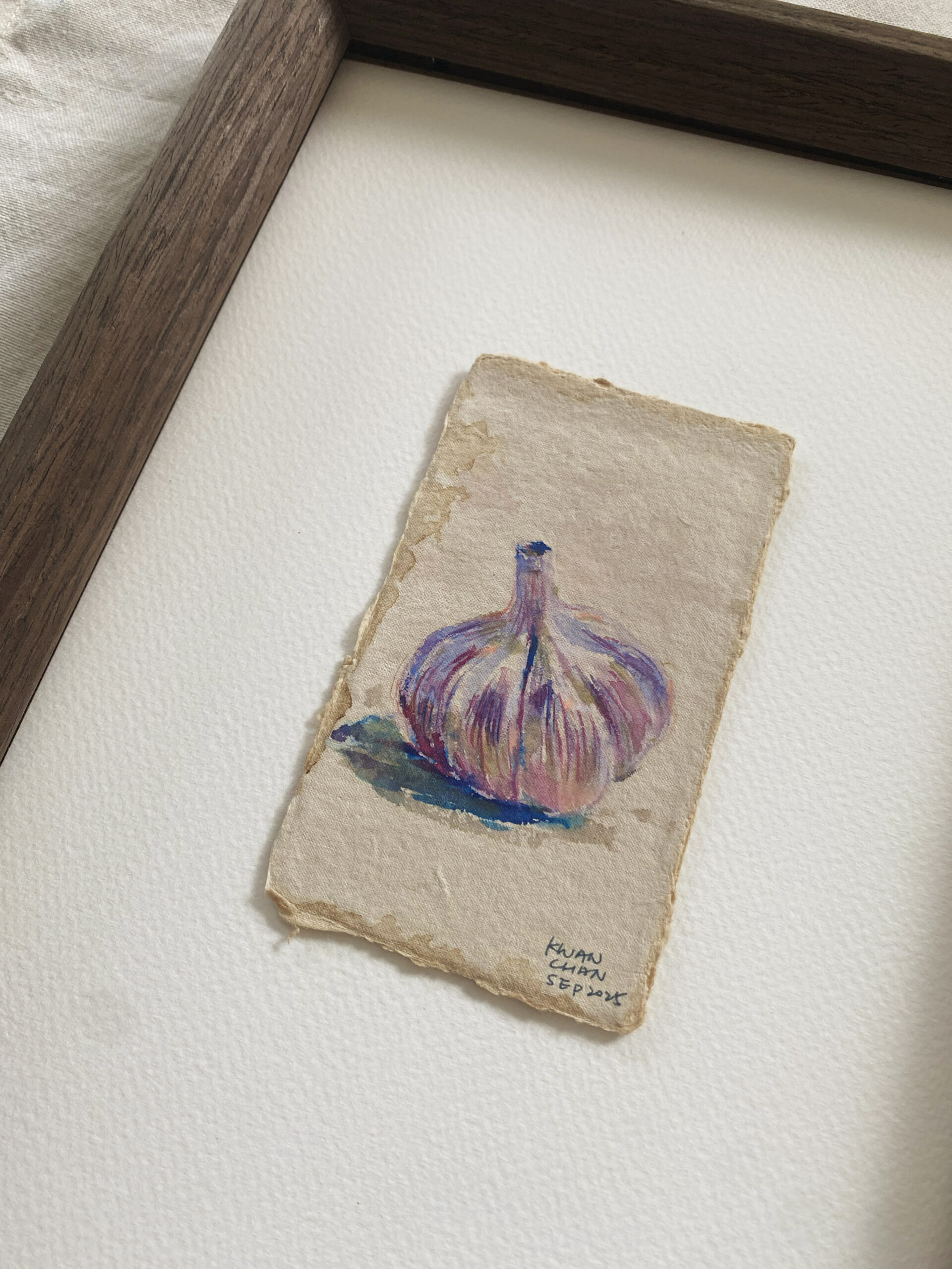 Onion - Image 2
