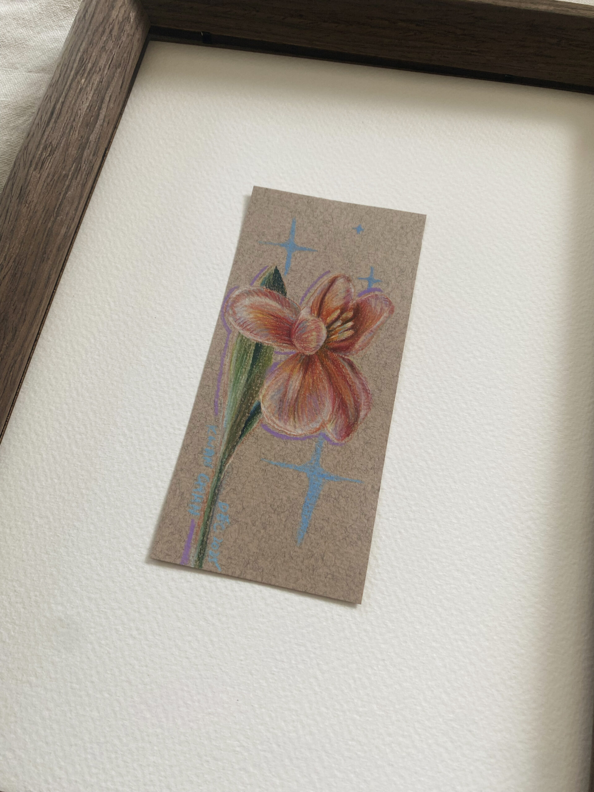 Bloom